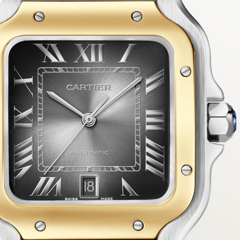 Picture of Santos de Cartier - Large