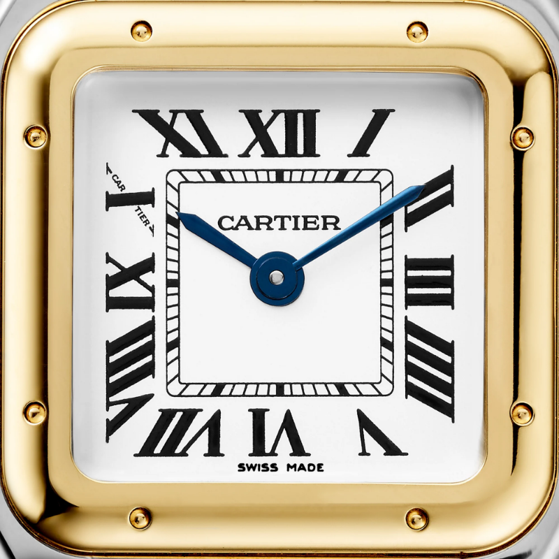 Picture of PANTHÈRE DE CARTIER - GOLD AND STEEL QUARTZ SMALL