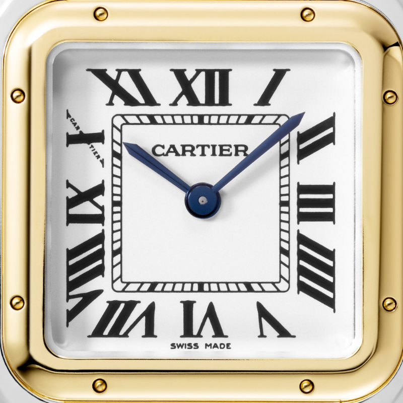 Picture of PANTHÈRE DE CARTIER - MEDIUM