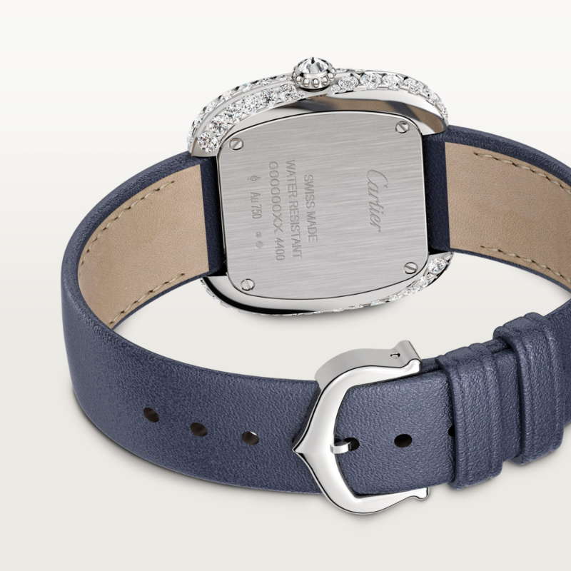 Resim COUSSIN DE CARTIER WATCH
